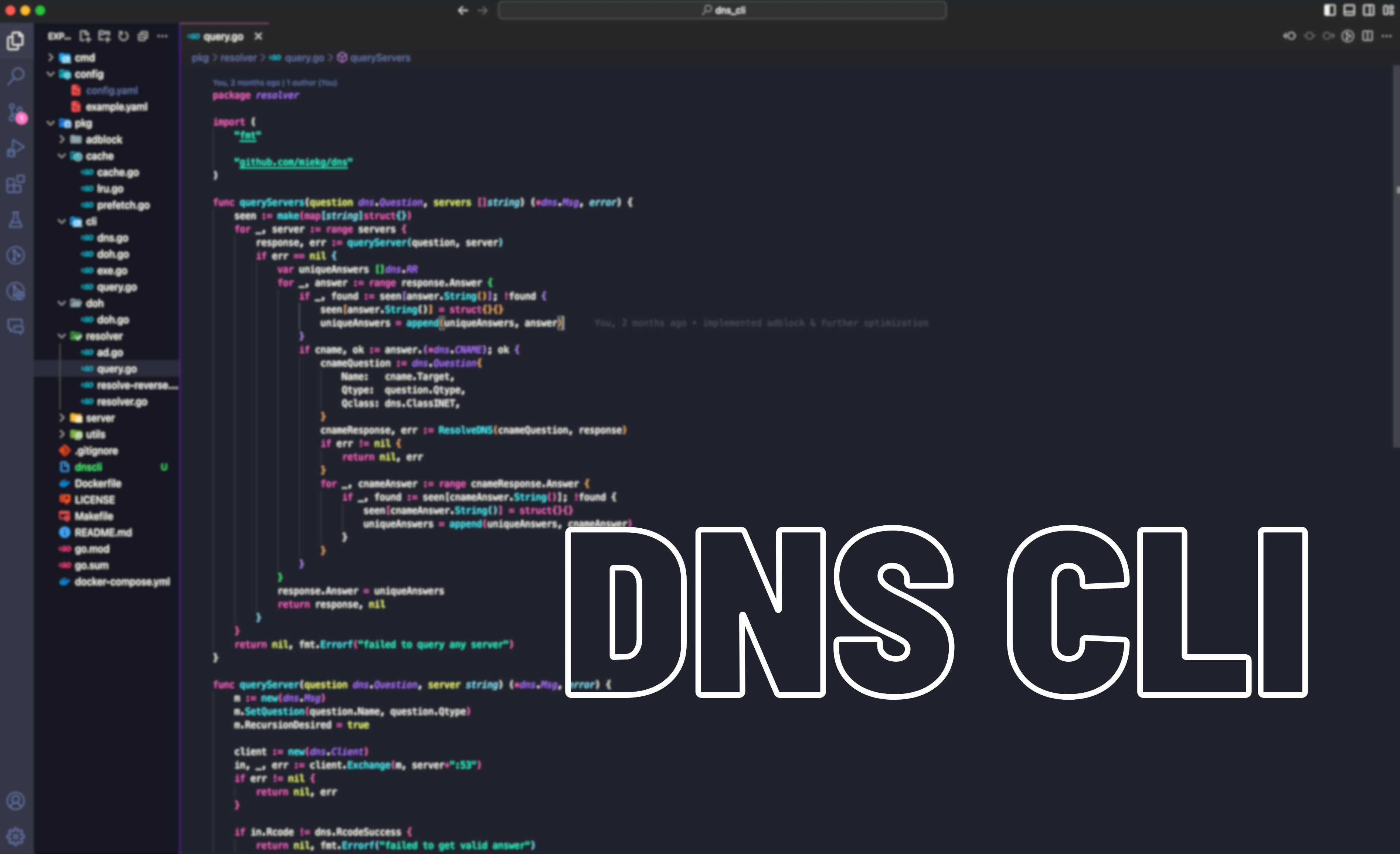 DNS Project Thumbnail